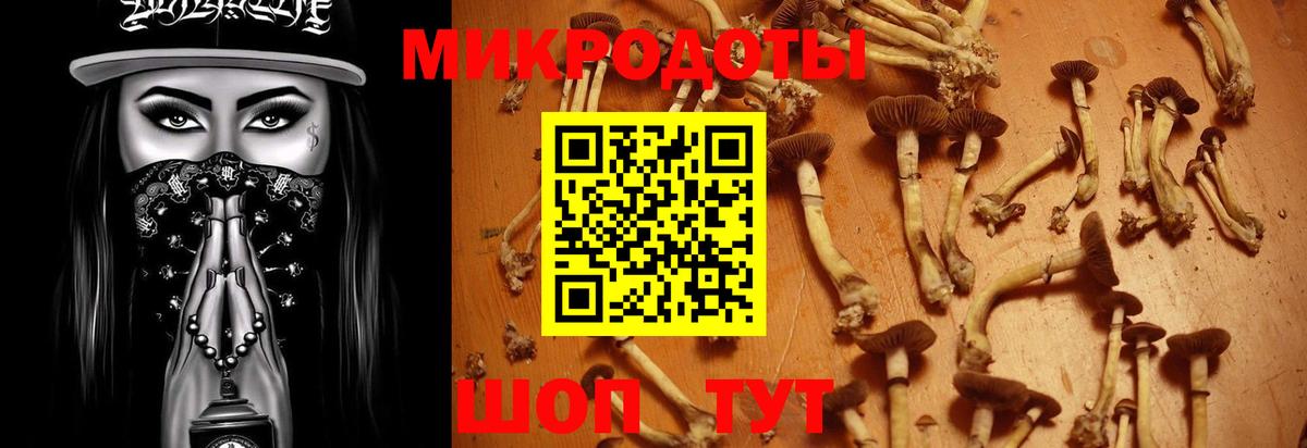 Псилоцибиновые грибы мухоморы Кызыл
